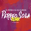 DJ Roman & DJ Alx Alarcon - Perreo Sola (Remix) - Single